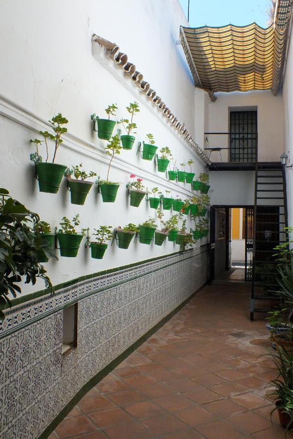 El Patio De Santiago Hotel Córdoba Buitenkant foto